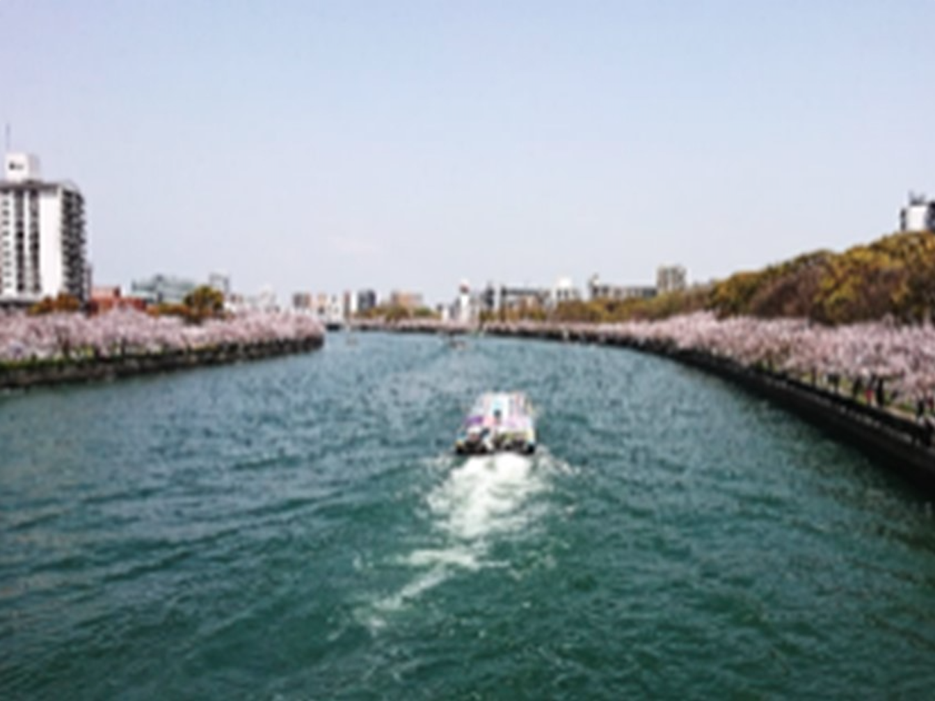 毛馬桜之宮公園