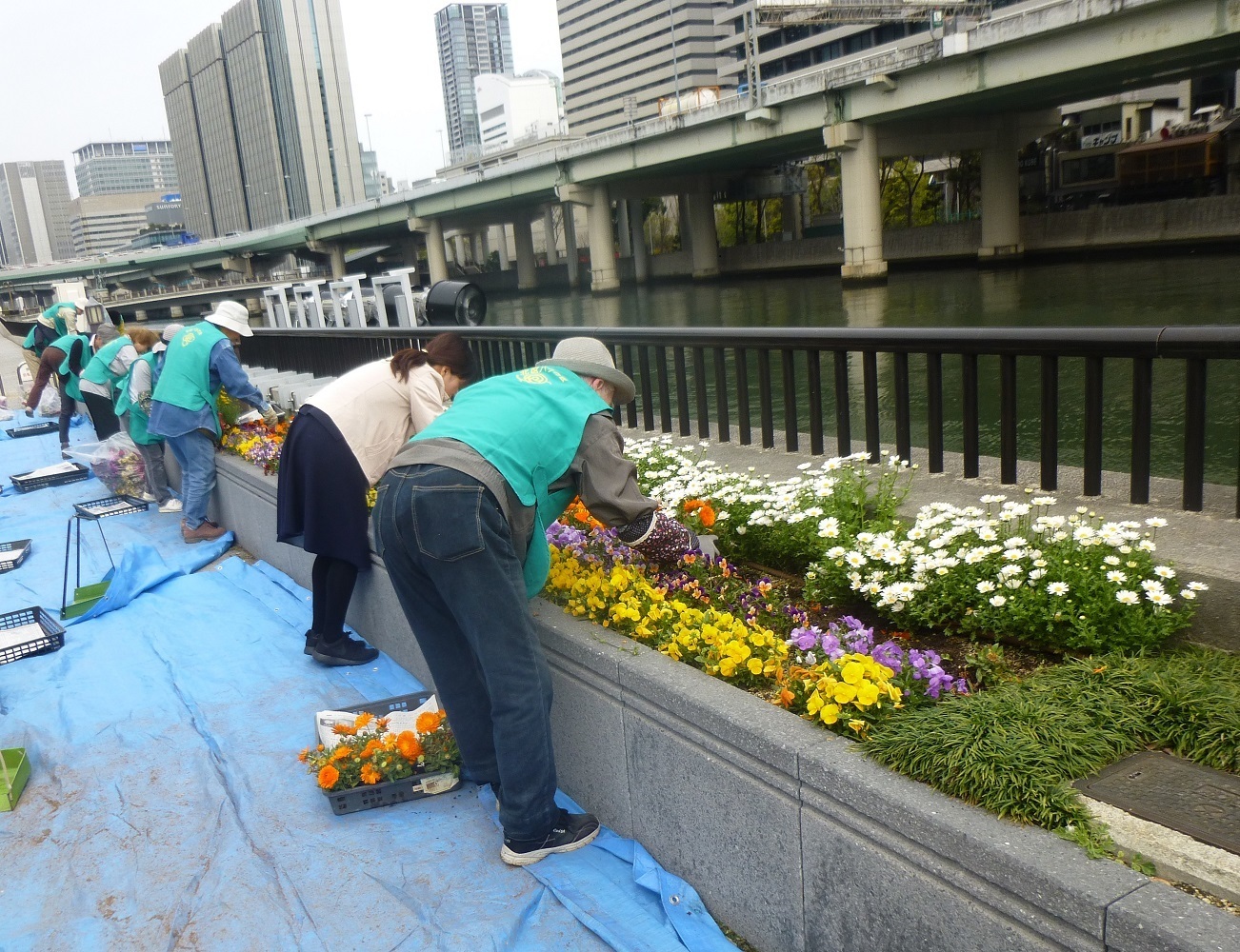 「花と緑あふれるまち大阪」づくりのため、ご寄附をお願いします